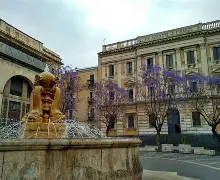 C7娱乐下载-包含卡塔尼亚遭遇佛罗伦萨逆转，战绩岌岌可危的词条