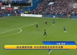 切尔西小胜阿森纳晋级足总杯决赛