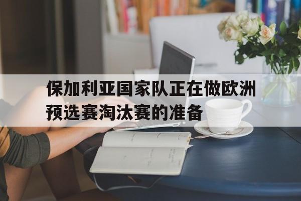 波黑国家队公布欧洲杯预选赛名单 波黑国家队公布欧洲杯预选赛名单