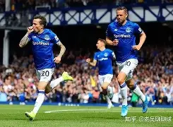 C7娱乐-莱斯特城逆转胜埃弗顿，重返欧战区(比赛日莱斯特城20 埃弗顿21 里)